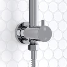 Carson Gooseneck Twin Shower